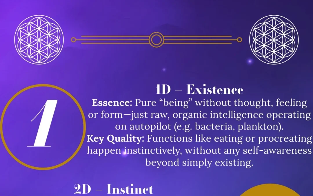 Infographic: The 12 Dimensions & Levels of Consciousness