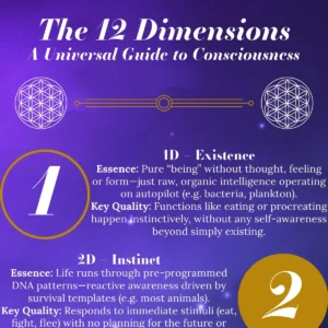 12 Dimensions Infographic Teaser Cover
